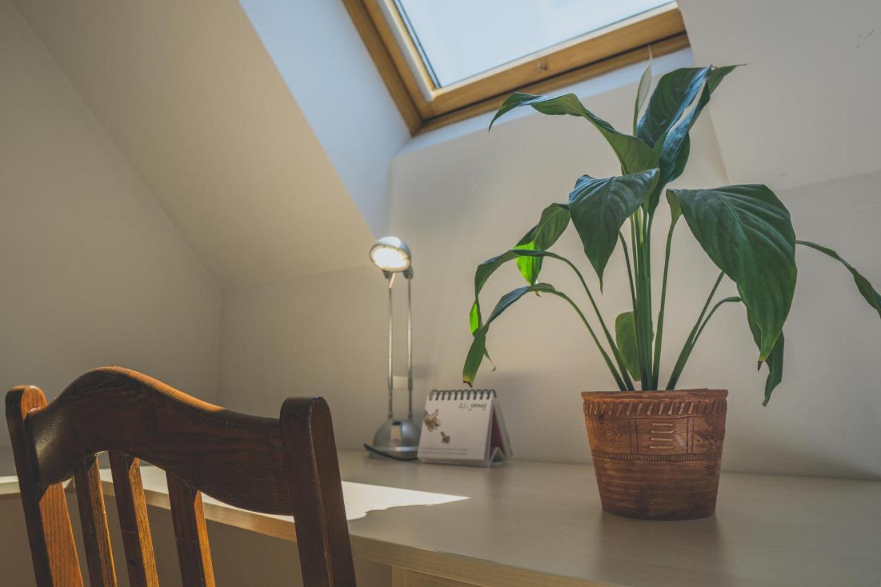 Apartment Amak With Free Onsite Parking Bovec Zewnętrze zdjęcie