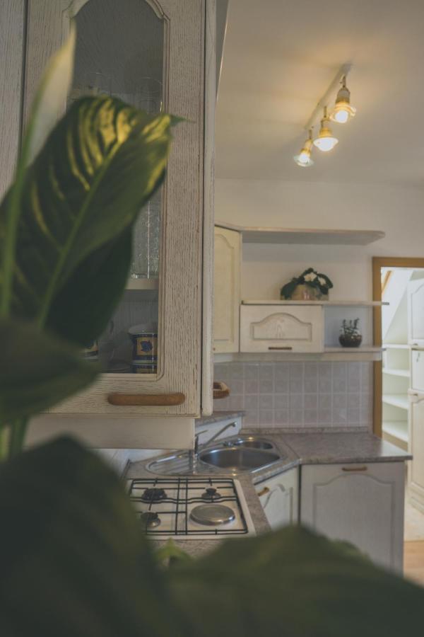 Apartment Amak With Free Onsite Parking Bovec Zewnętrze zdjęcie